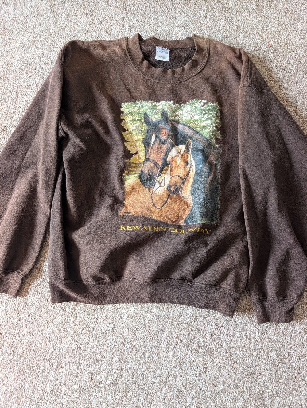Brown Horse Graphic Sweatshirt